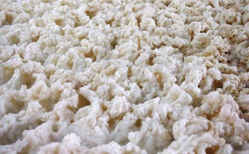 (圖:生物發(fā)酵泡沫的危害)